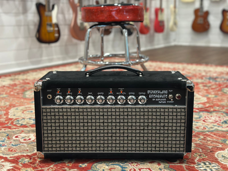 Amplified Nation Ampliphonix and Gain 50w