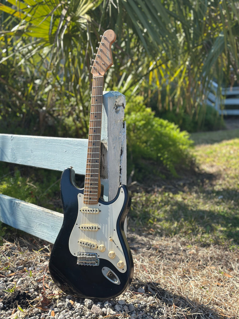 Danocaster Double Cut (used)