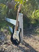 Danocaster Double Cut