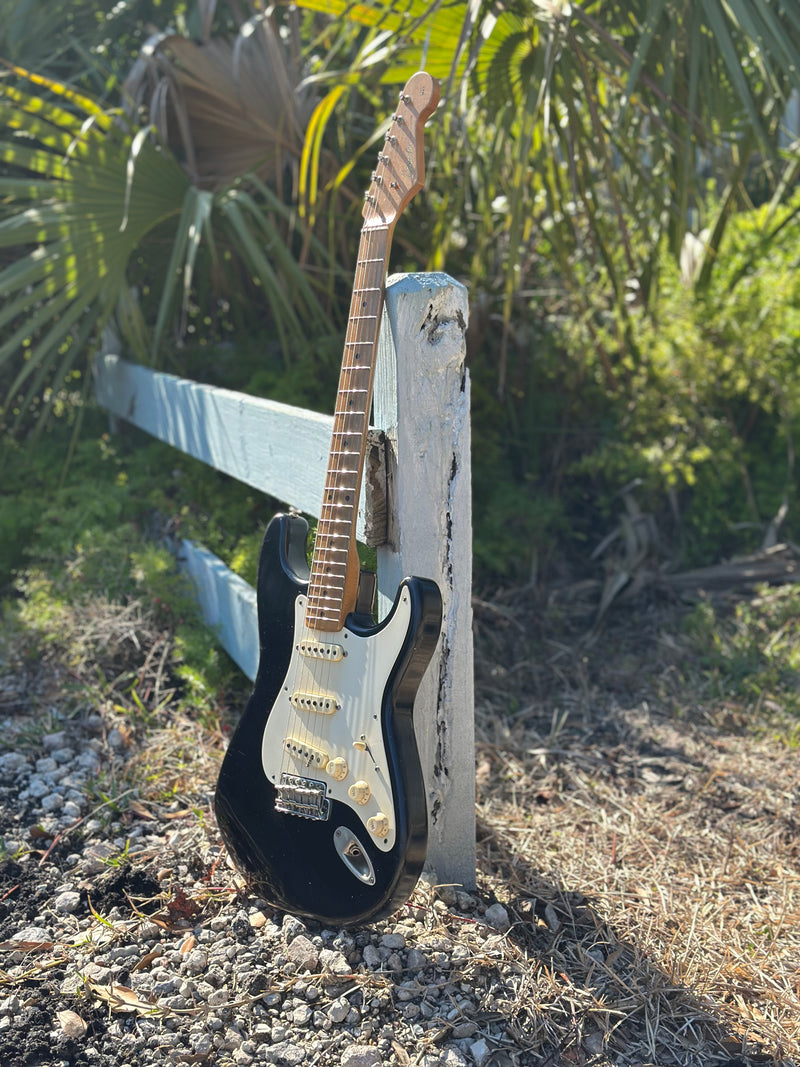 Danocaster Double Cut (used)