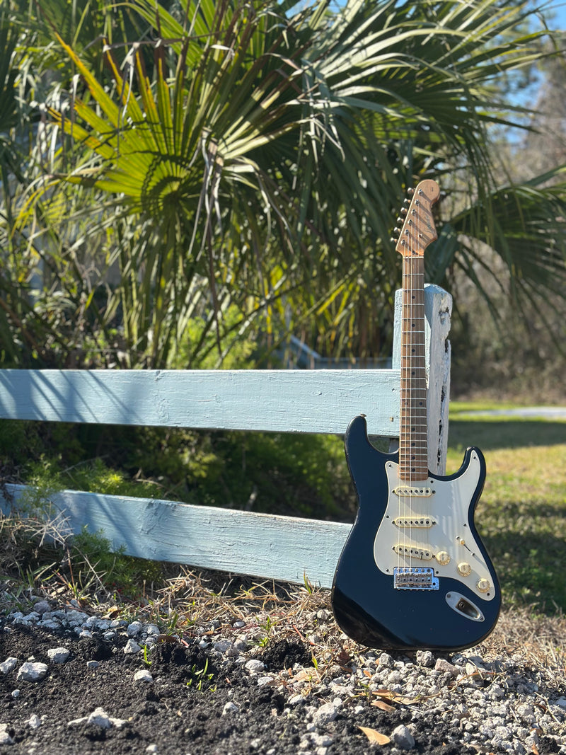 Danocaster Double Cut (used)