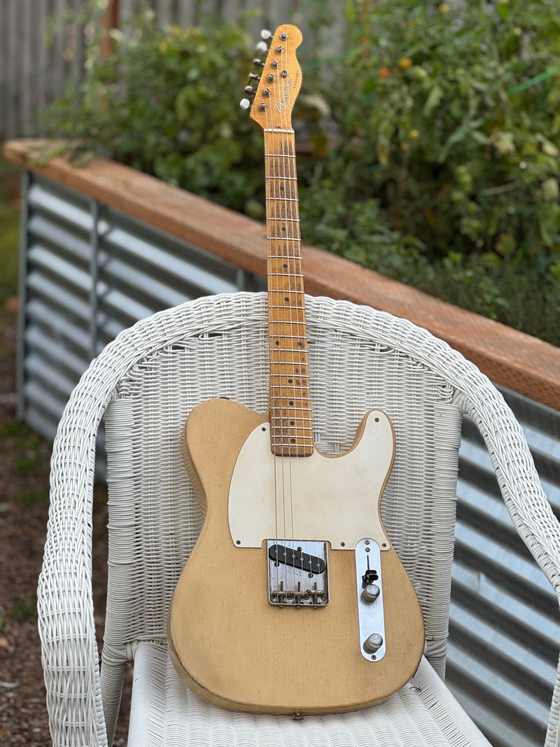 Carson Hess Whitguard Esquire