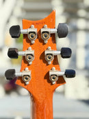 PRS Al Di Meola Signature Prism (used)