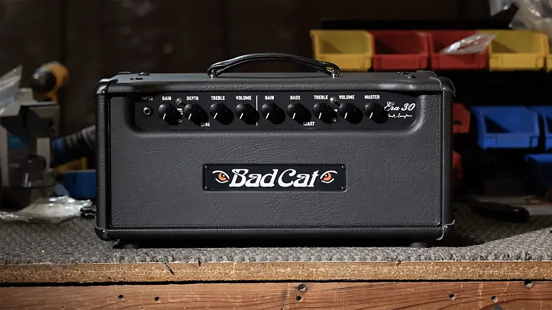 Bad Cat Era 30 Mark Sampson