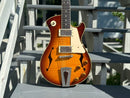 Springer Seraph Hollow Body (used)